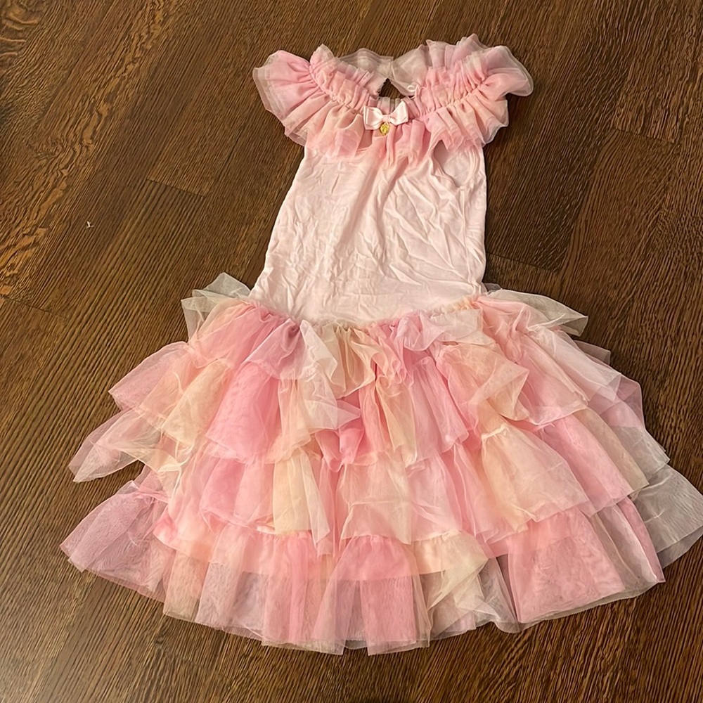 a girls dream dress